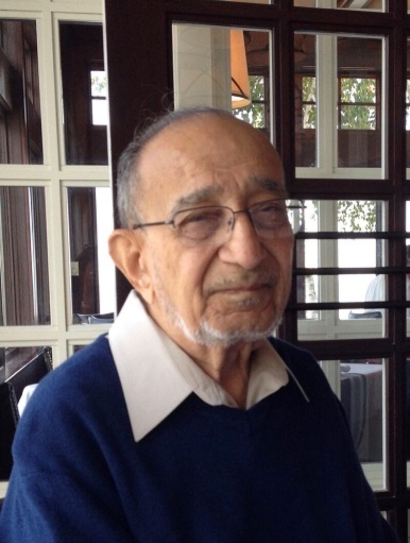 Professor Abbas Husayn Hamdani (1926-2019) in the frame