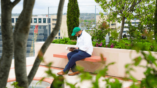 A distant view of a student in white shirt, blue denims and a green cap sitting and reading a book in the terrace gardens of Aga Khan Centre