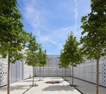 An image of a terrace with four trees and white walls around them and a small fountain in the centre of the terrace